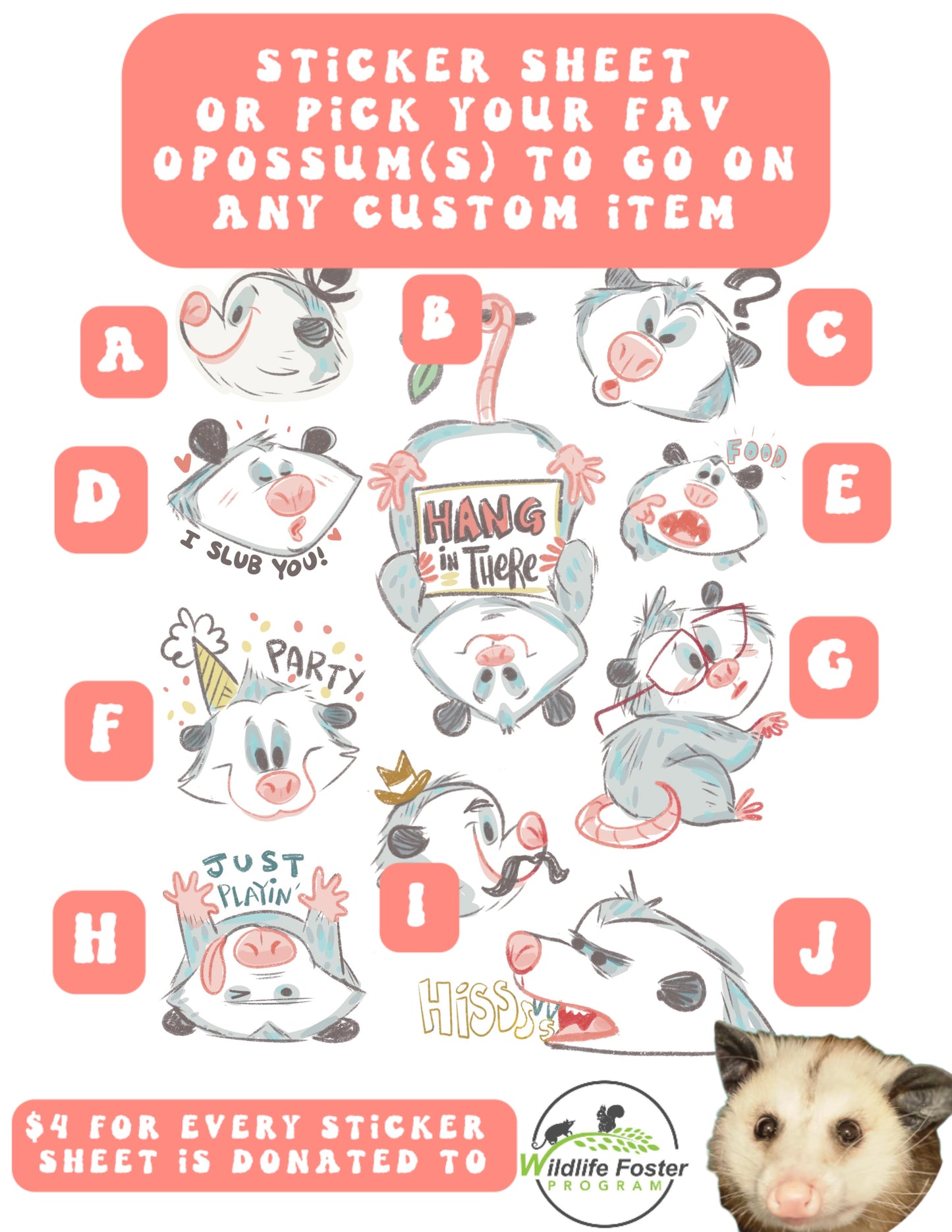 Opossum Designs & Fundraising Sticker Sheet